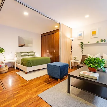 Polanco Studio Bliss Cozy And Modern